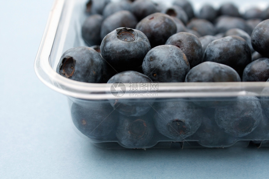 蓝莓摄影水果水平盒子图片