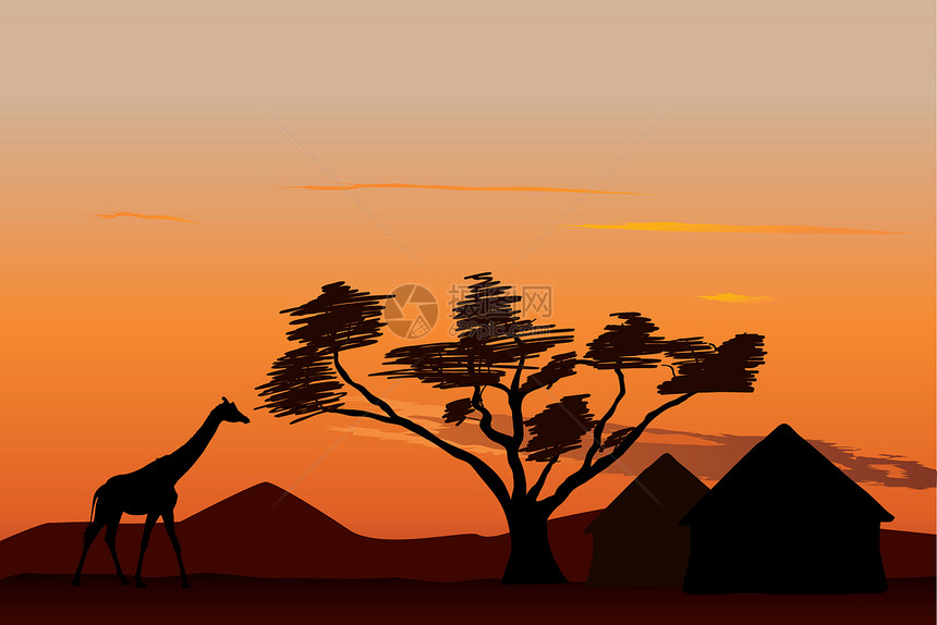 非洲日落植物村庄阳光橙子荒野农村沙漠热带太阳天空图片