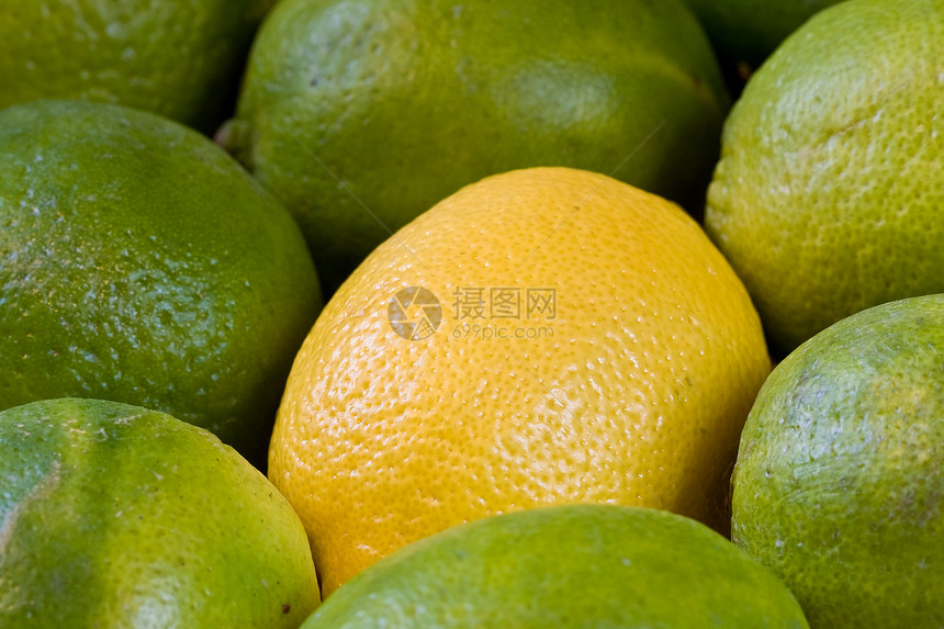 新鲜水果食物橙子健康热带黄色绿色作品图片