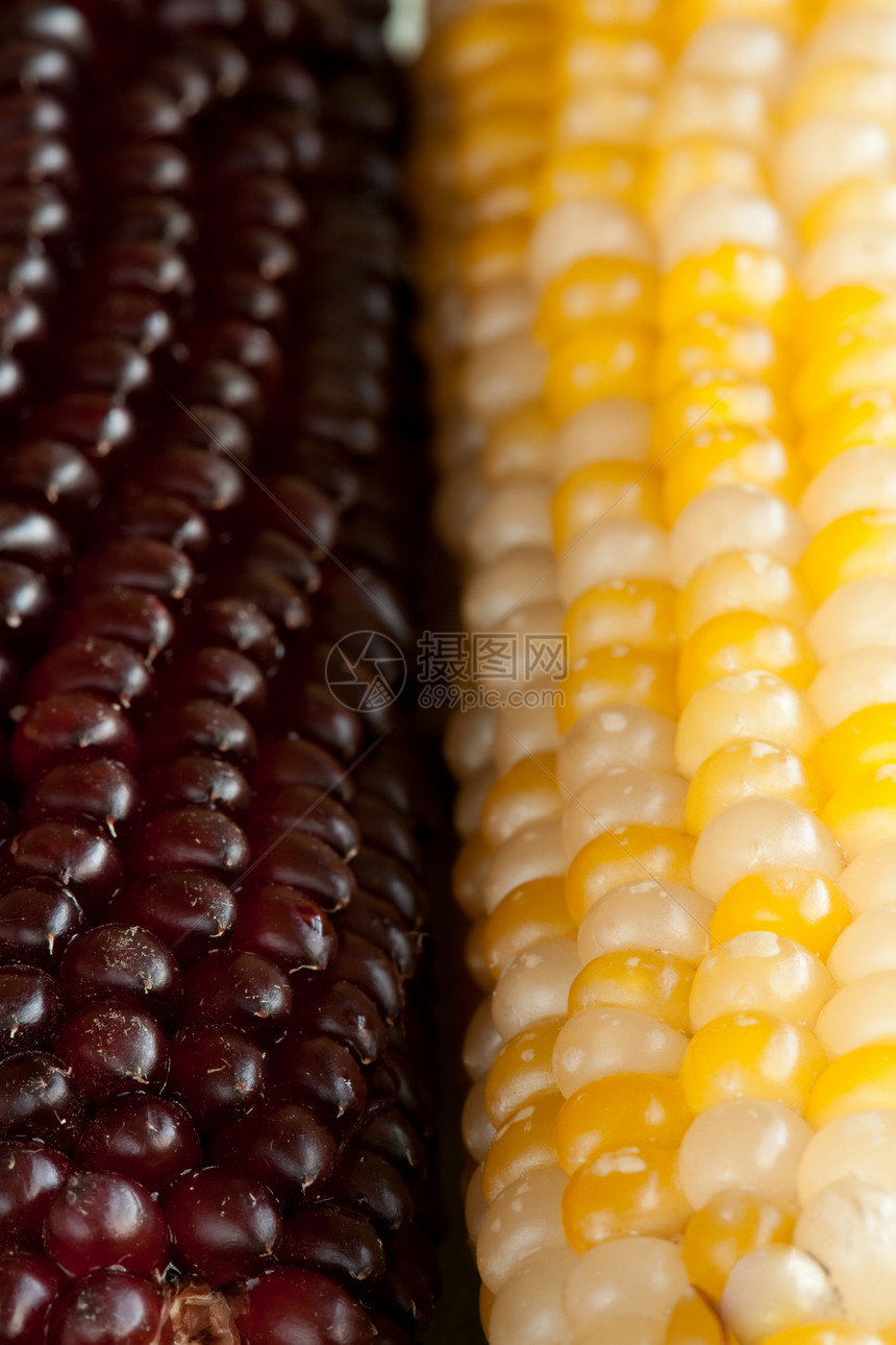 耳朵玉米收成小吃内核美食植物浆果蔬菜棒子食欲图片