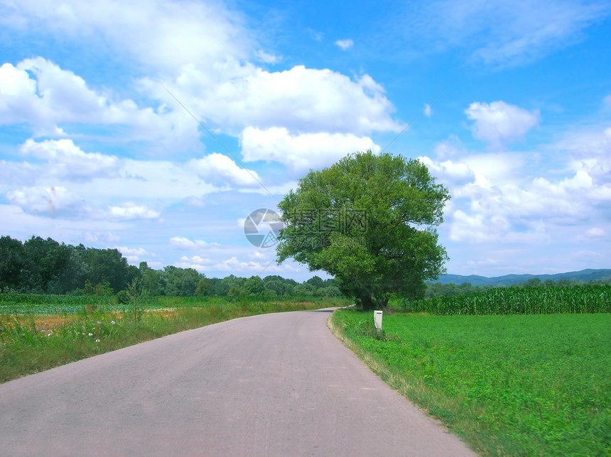 国家公路晴天天际草地地平线农村运输蓝色村庄天空环境图片