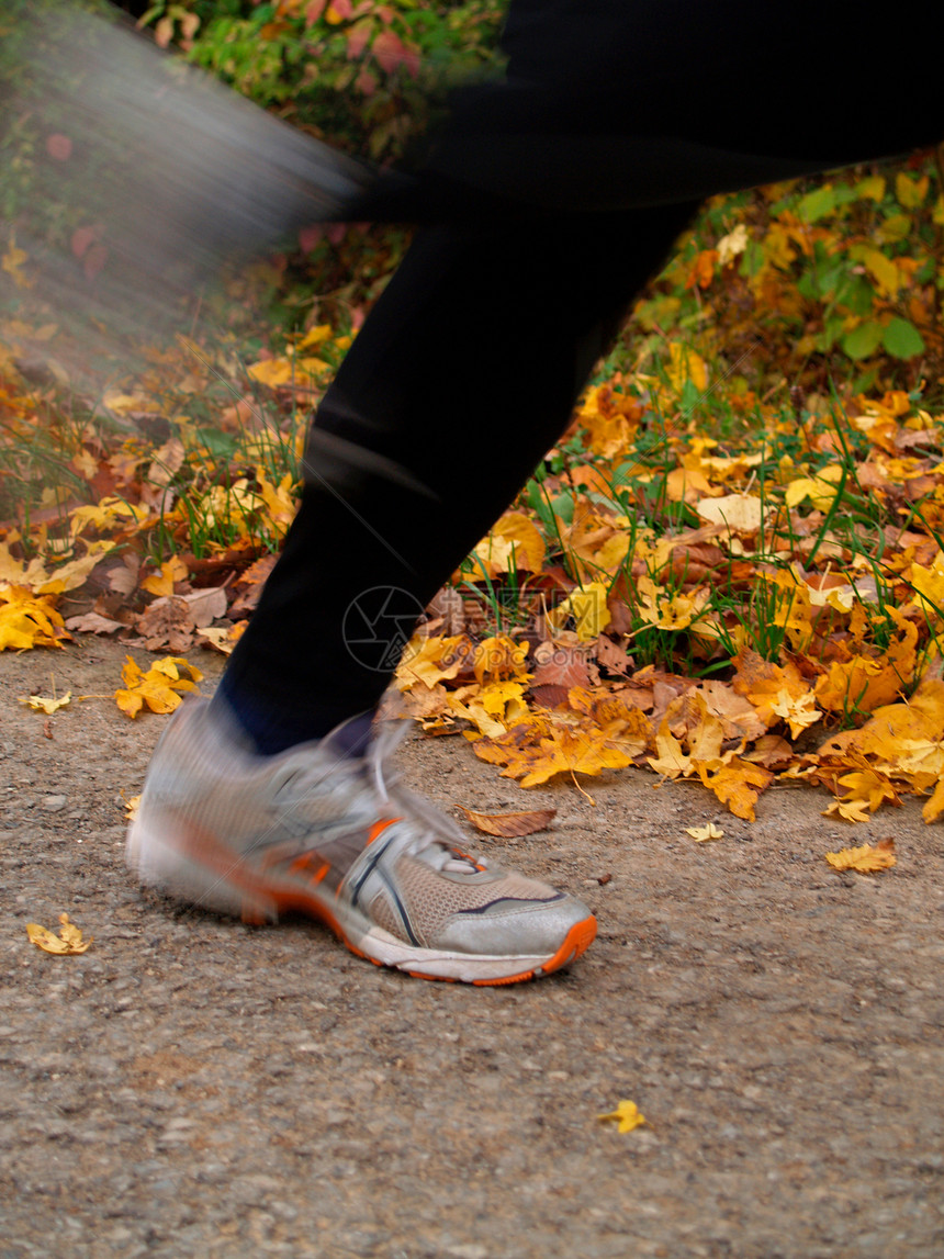 妇女慢跑有氧运动叶子跑步衣服慢跑者赛跑者树叶季节成年人闲暇图片