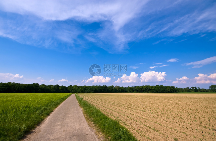 农村和公路景色图片