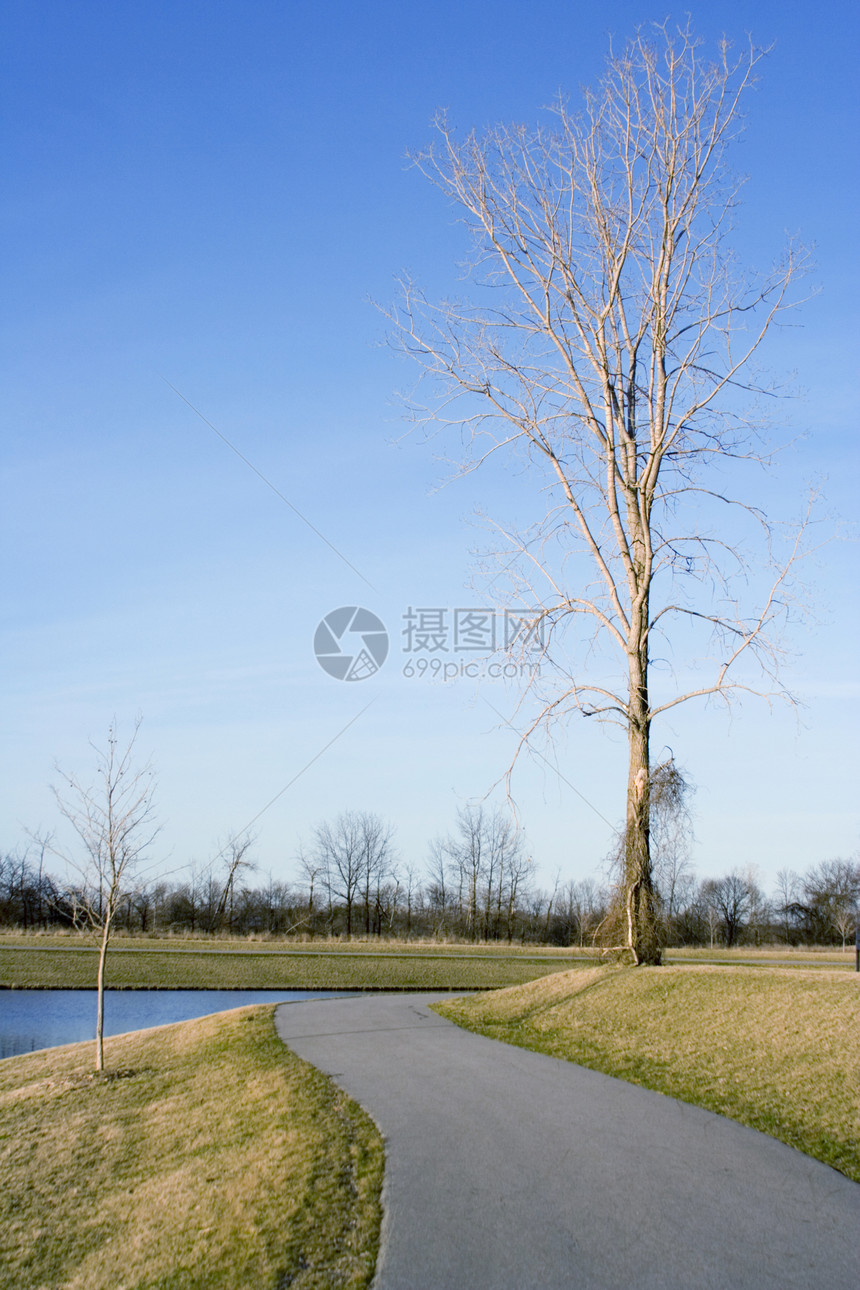 水行水道树木公园木头森林树叶照片途径车道小路植物图片