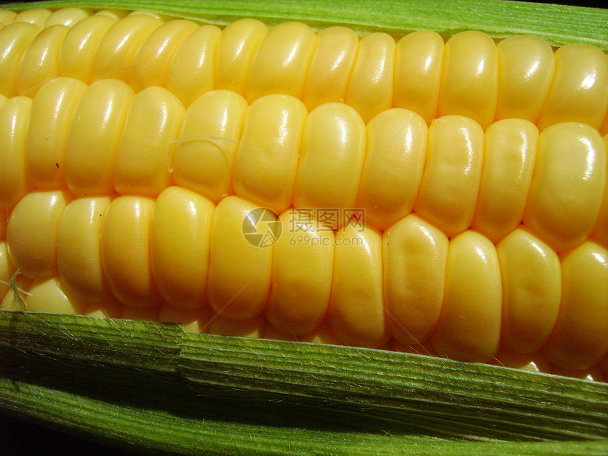 玉米角蔬菜烹饪营养植物宏观饮食白色活力绿色收成图片