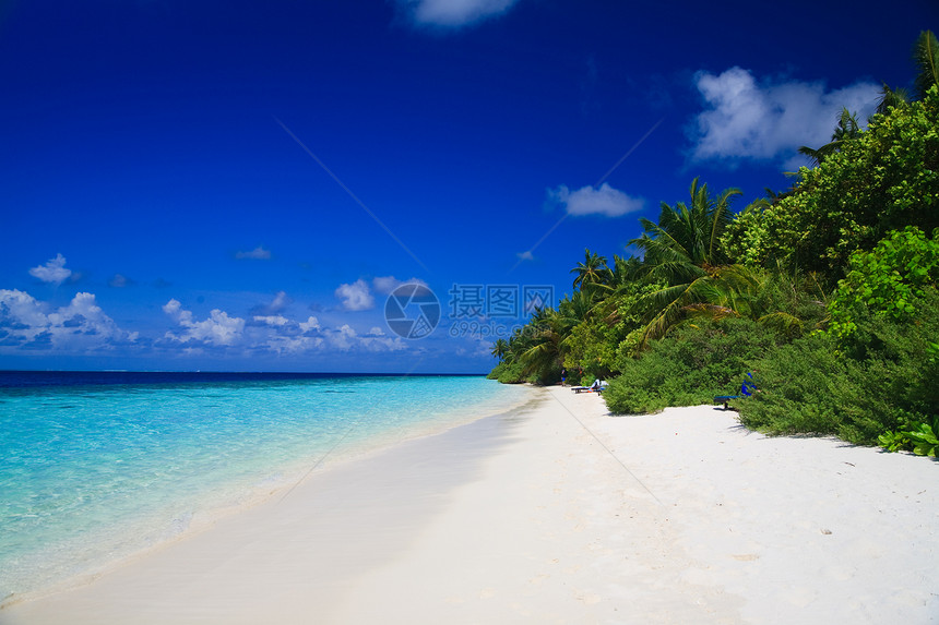 马尔代夫的热带天堂海浪蓝色游泳假期旅行海景美丽地平线天空叶子图片