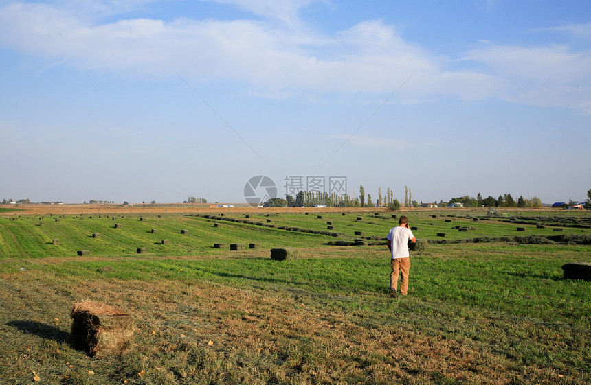 农民乡村场地概念牧场干草绿色男人收成稻草天空图片