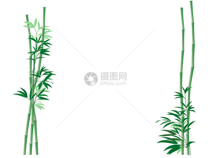 竹布背景背景甘蔗绿色叶子插图节点植物框架园艺生长树叶图片