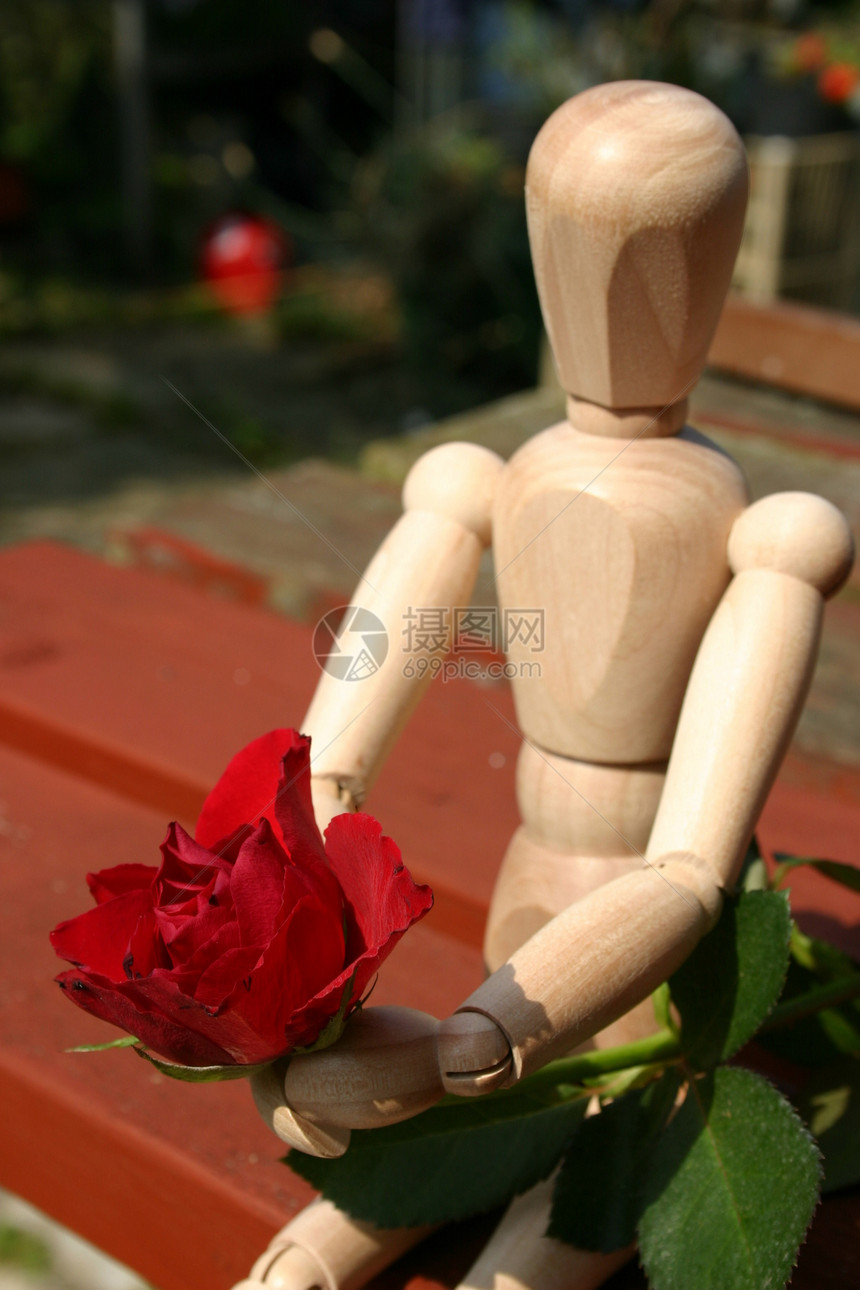 红玫瑰 为爱的一首特辑红色玫瑰概念热情奉献希望男性女性图片