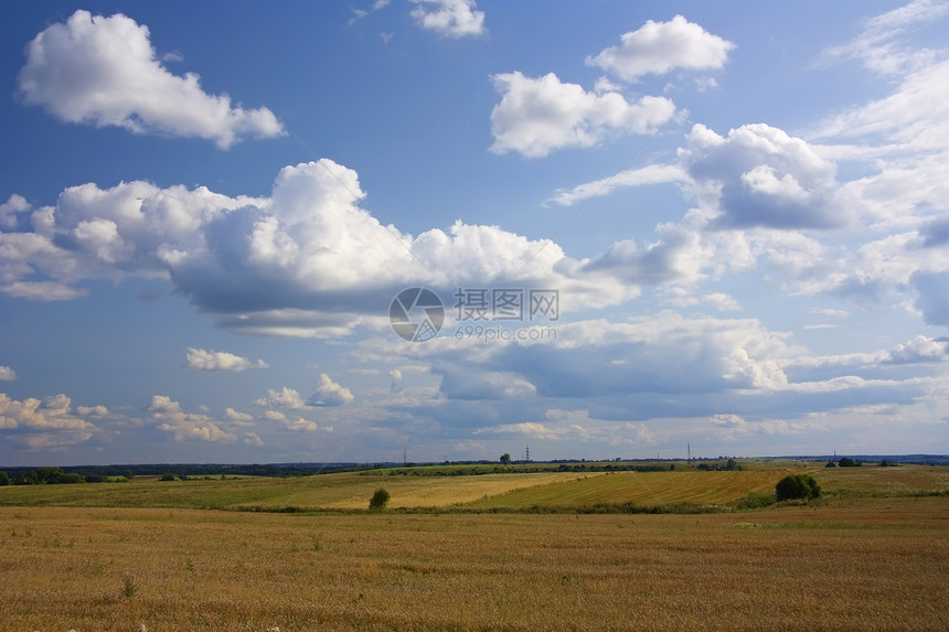 夏季风景农业地平线场地天空场景自由农场土地美化小麦图片