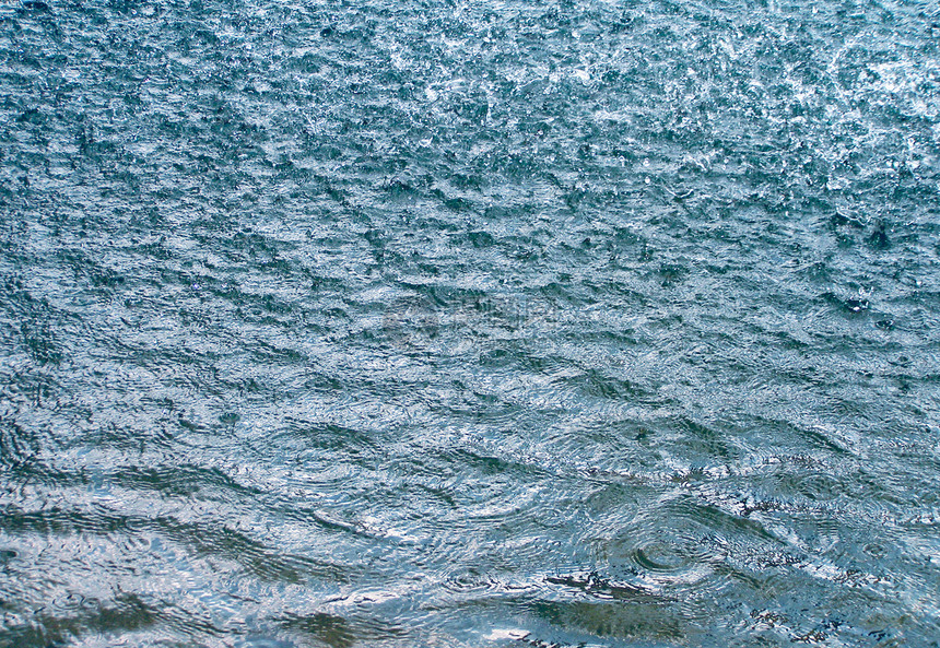 雨蓝色液体小狗池塘溪流天气水滴图片