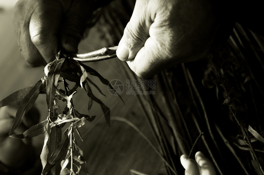 人教孩子做鸡篮子瞳孔野餐编织学生柳条工具生产织物宏观工匠图片