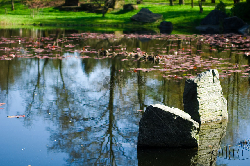日本花园 春天场景旅行车道小路曲线鹅卵石花园池塘闲暇人行道图片