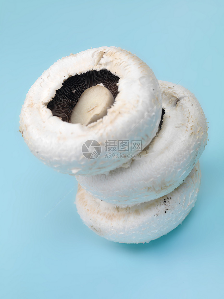 野地蘑菇菌类食物荒野白色场地营养蔬菜图片