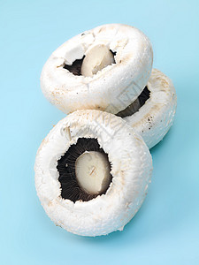 野地蘑菇白色荒野场地食物蔬菜营养菌类背景图片