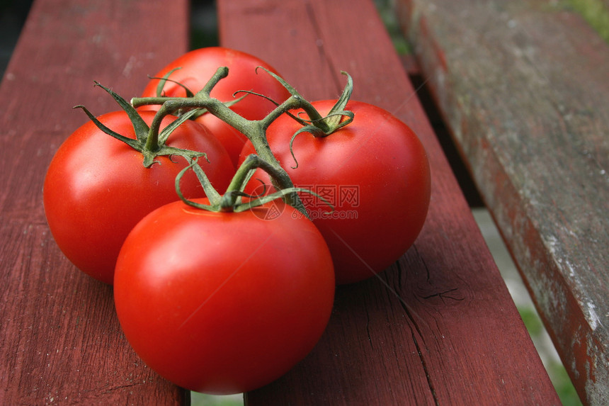 葡萄番茄蔬菜花园农场味道种子西红柿食物营养沙拉维生素图片