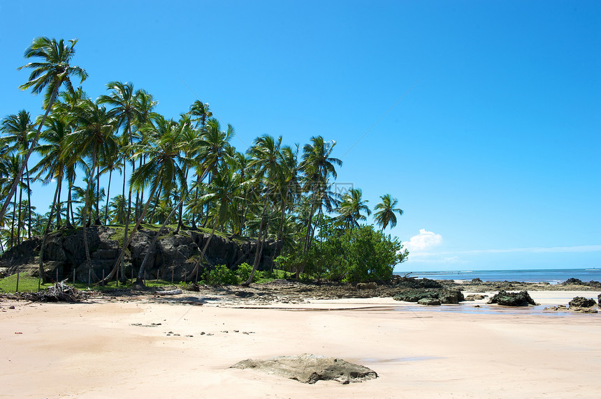 巴西天堂巴西海滩旅游目的地天空气候太阳海景异国风景蓝色情调图片
