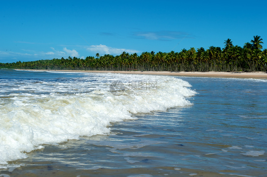 巴西天堂巴西海滩海浪旅游风景目的地天空海岸线海景异国蓝色情调图片