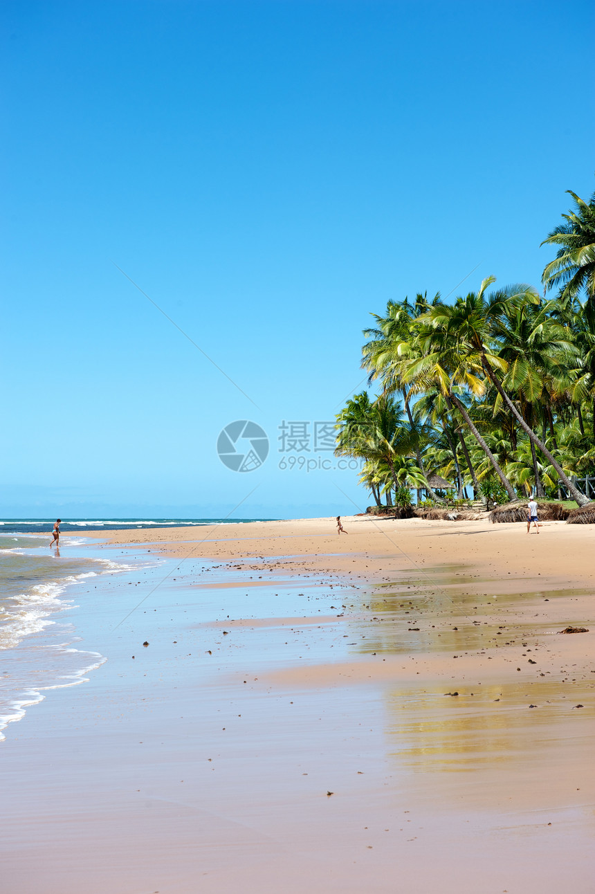 巴西天堂巴西海滩太阳天空目的地风景蓝色旅游海景异国海浪热带图片