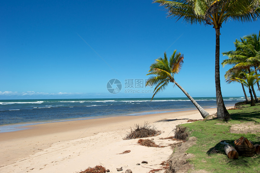 巴西天堂巴西海滩异国海景情调太阳海岸线热带目的地天空旅游蓝色图片
