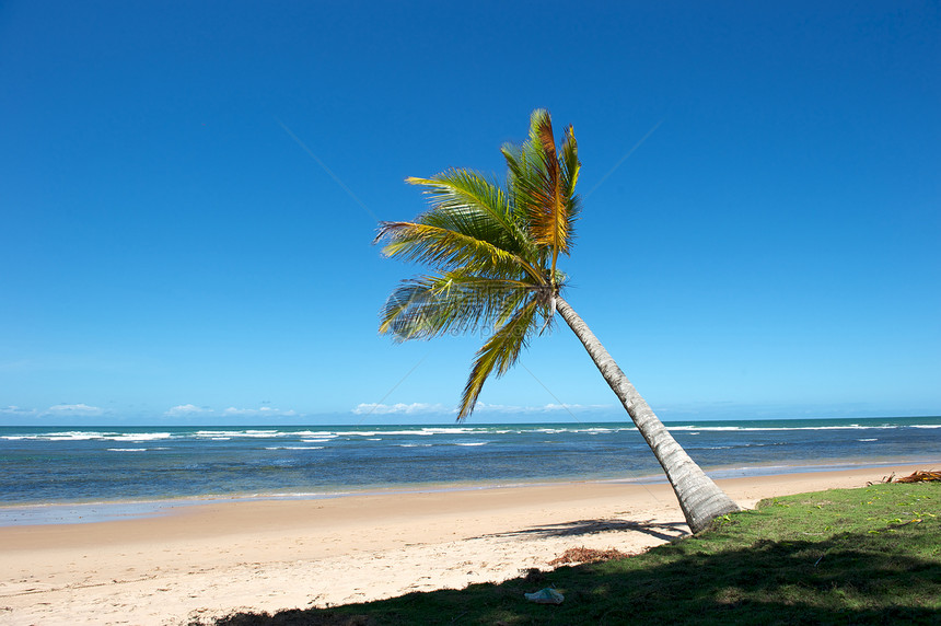 巴西天堂巴西海滩天空情调风景热带目的地异国蓝色海景海浪太阳图片