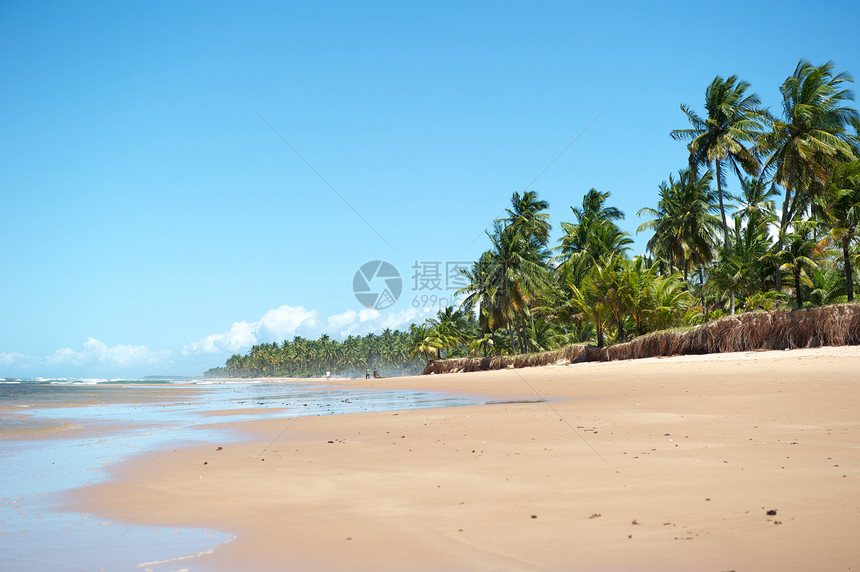 巴西天堂巴西海滩异国旅游热带情调海浪风景太阳目的地蓝色天空图片