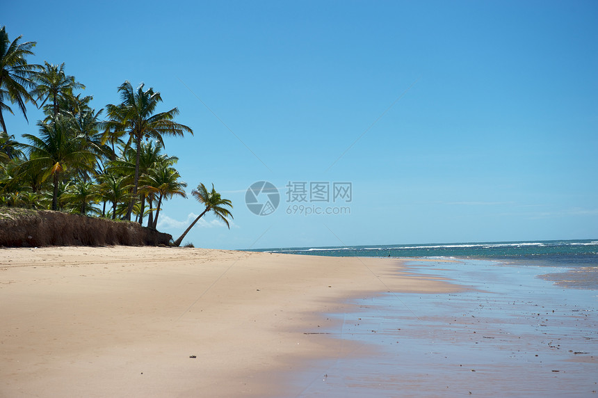 巴西天堂巴西海滩热带目的地太阳海景风景异国海岸线情调天空旅游图片