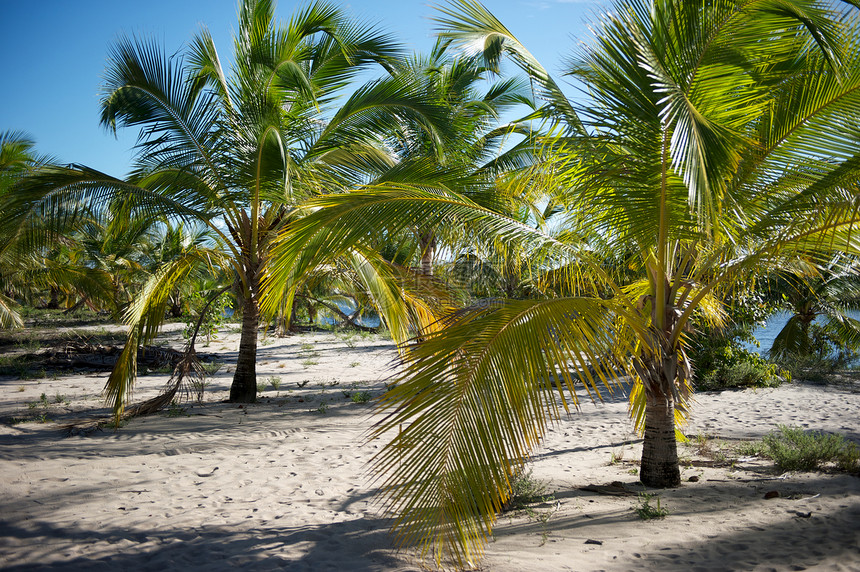 巴西天堂巴西海滩海浪太阳蓝色天空海景热带旅游目的地情调风景图片