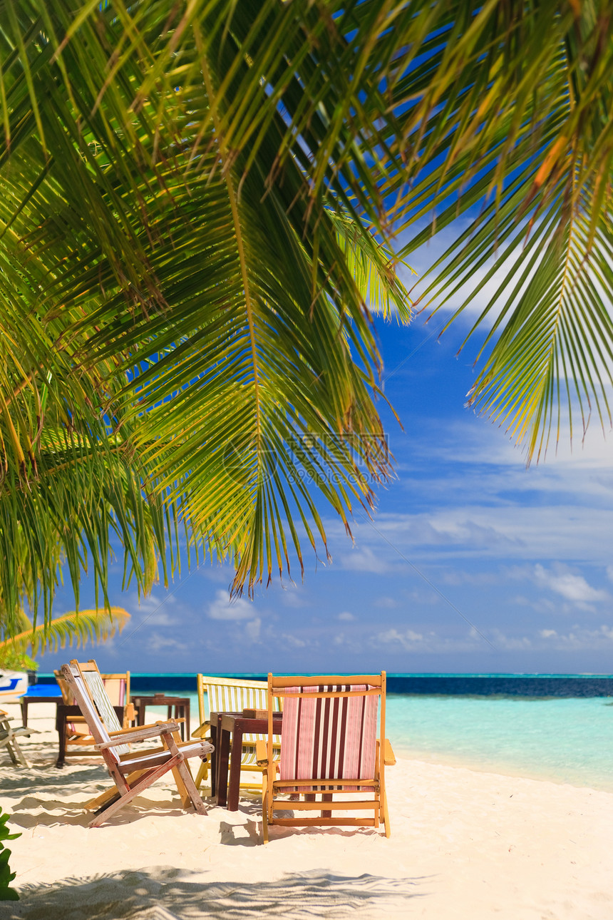 热带天堂的放松游客叶子阳伞蓝色椅子气候休息室假期海浪旅游图片