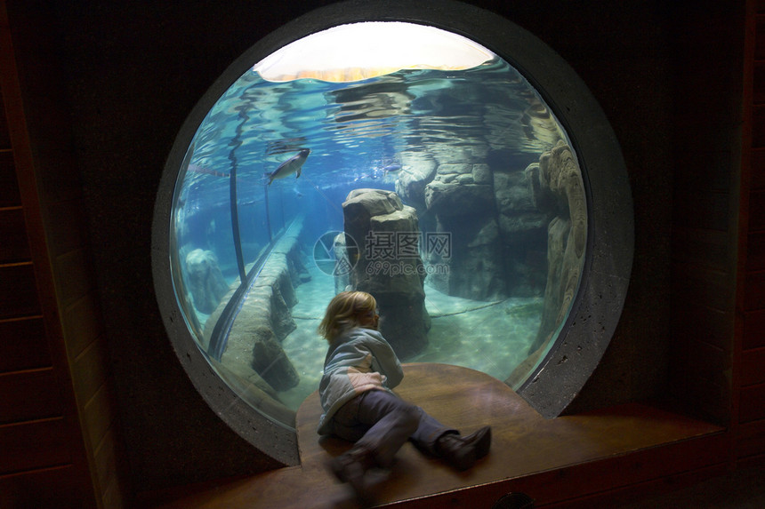海洋生命动物园教育潜水孩子女孩海洋荒野海洋生物藻类水族馆图片