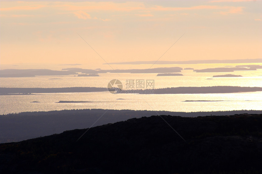 落叶颜色装饰品花园池塘森林太阳树叶植物桦木橙子反射图片