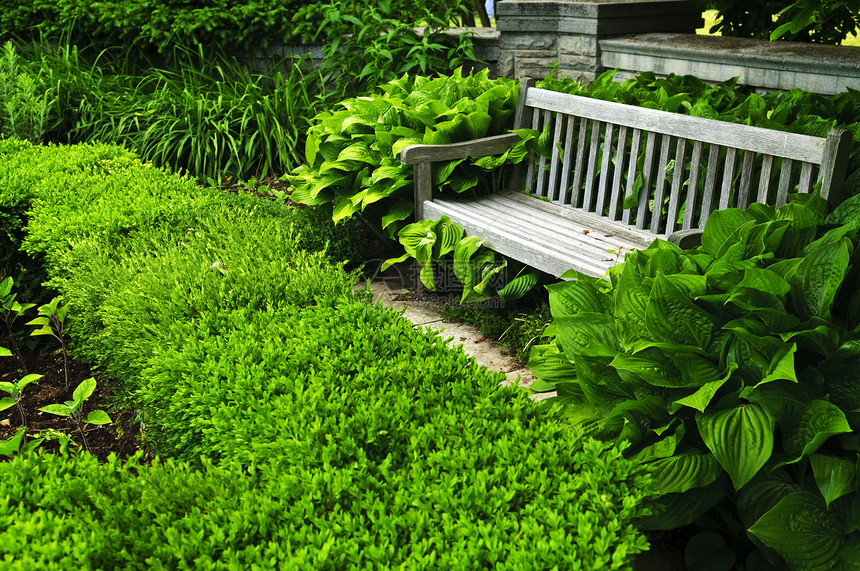 稀绿花园石头长椅闲暇长凳园艺人行道公园小路美化树篱图片