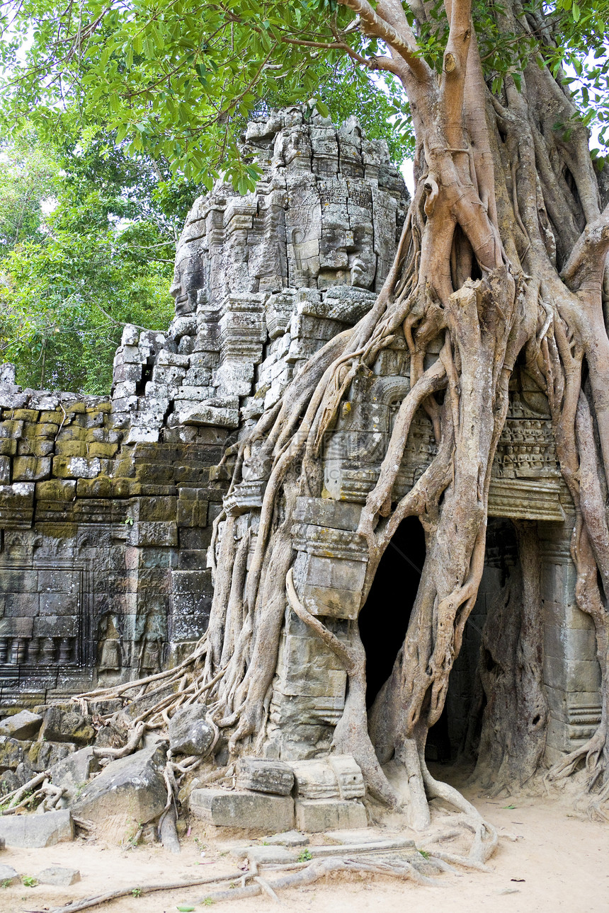 柬埔寨 Ta Som寺庙纪念碑遗产王国收获建筑物世界地标佛教徒文化高棉语图片