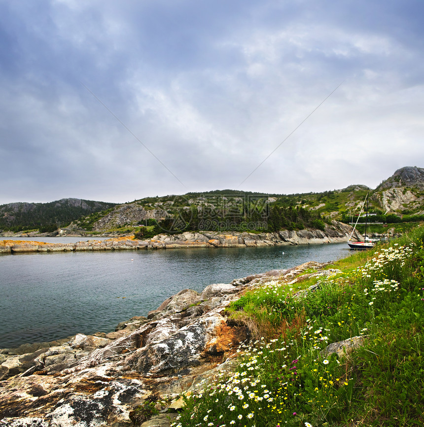 纽芬兰的大西洋海岸地平线野花涟漪旅行戏剧性风景支撑海洋绿色巨石图片