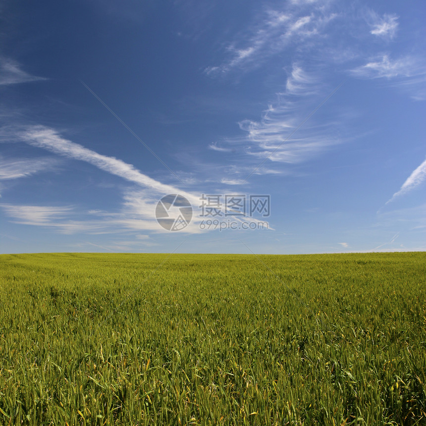 美丽的春天风景场景天气农场植物远景太阳墙纸晴天牧场土地图片