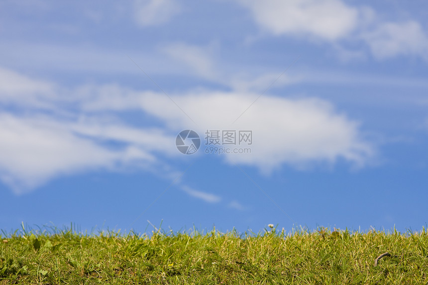 绿草和蓝天空场地绿色天空植物季节蓝色土地图片