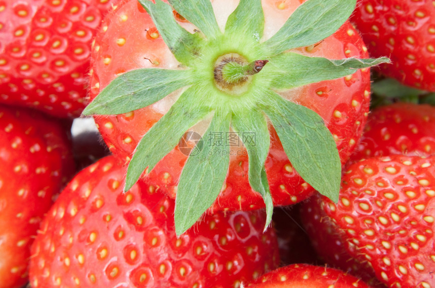 新鲜草莓维生素宏观红色食物水果营养种子小吃图片