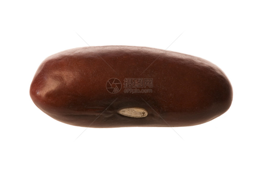 肾脏 Bean 宏图片