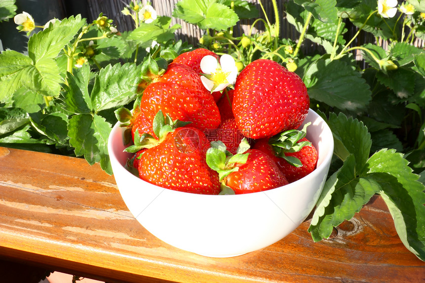 草莓植物木头甜点白色食物浆果绿色叶子红色水果图片
