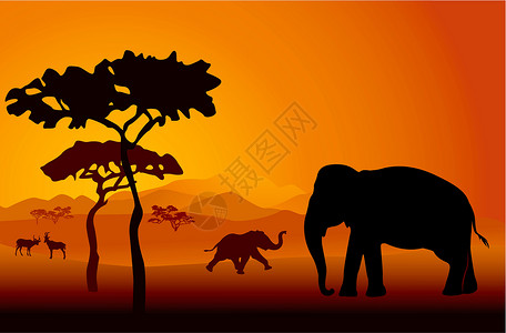 尼泊尔奇特旺国家公园大象萨法里8太阳土地绘画日落荒野金子阳光旅行旅游羚羊插画