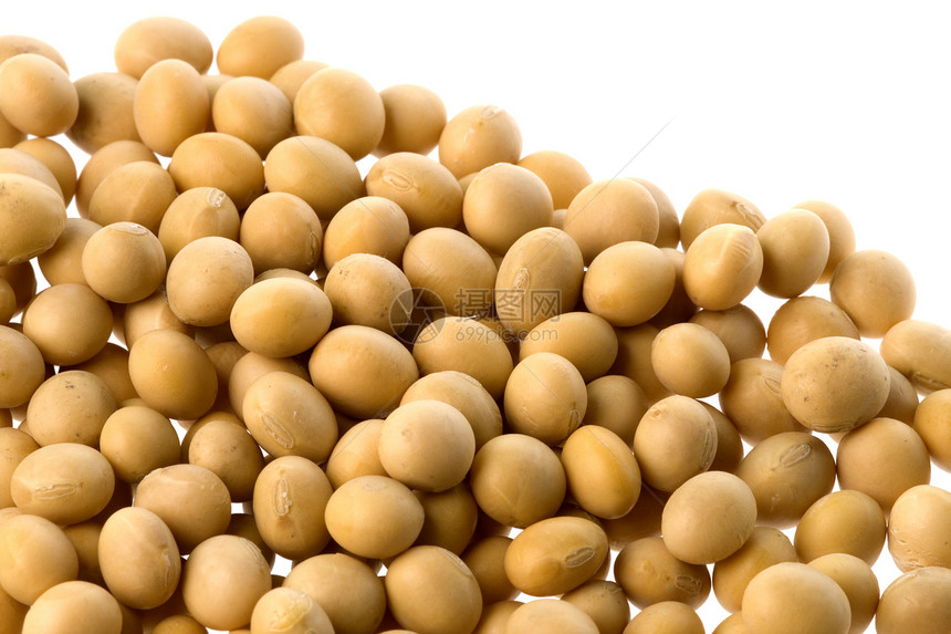 索亚比亚红色健康豆类宏观生产农业饮食豆子蔬菜营养图片