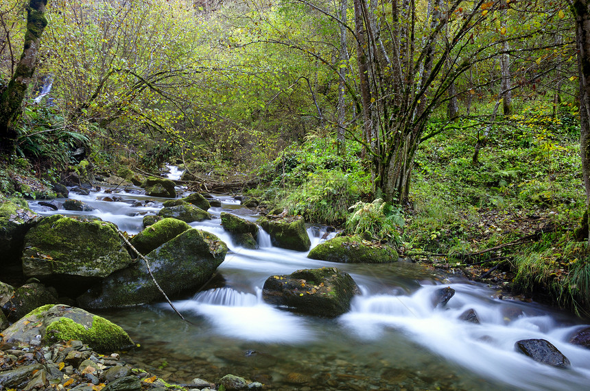 野山山河美丽旅行溪流树木森林野生动物山脉石头荒野岩石图片