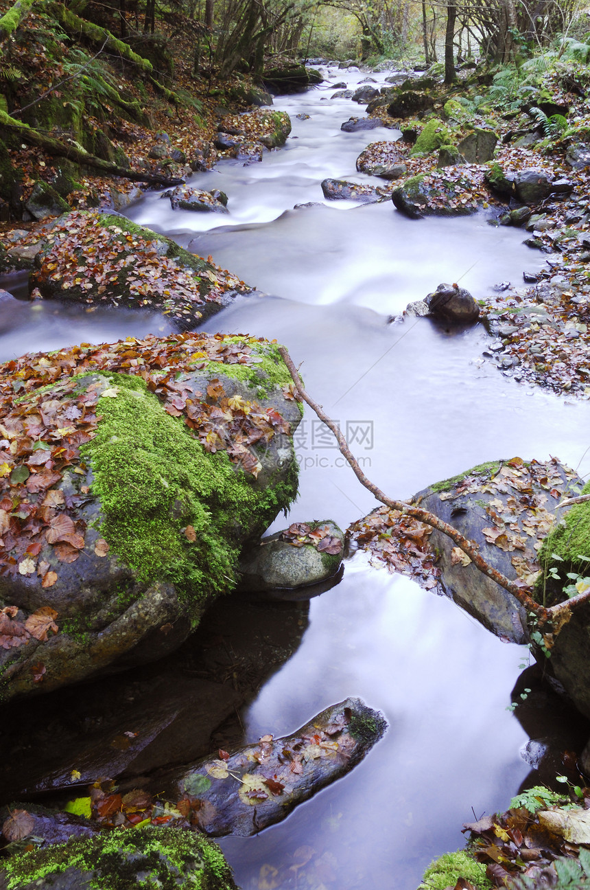 野山山河石头环境季节波浪力量森林生态活力溪流树木图片