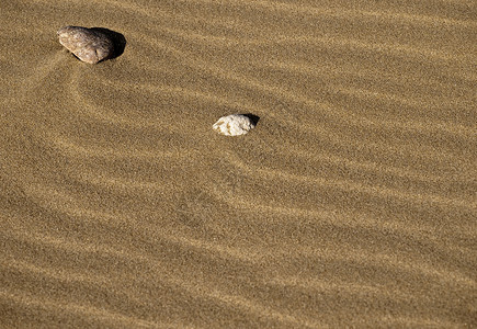 沙石海滩卵石粮食沙丘沙漠干旱背景图片