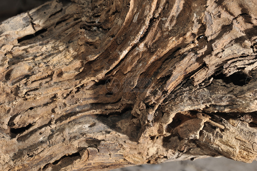 旧木质线条裂纹粮食阴影宏观木头古董镶板风格装饰图片