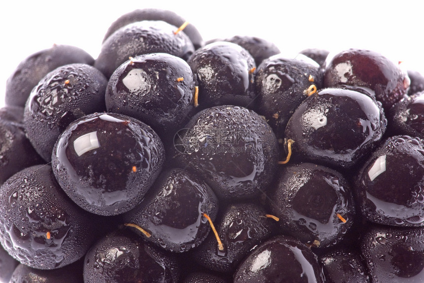 黑莓杂草宏观维生素食品植物群植物红色水果营养甜点季节图片