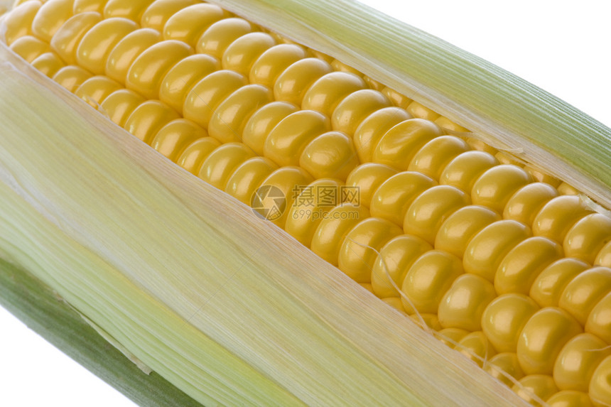 孤立的玉米收成棒子营养蔬菜宏观玉米芯核心粮食内核鸡眼图片