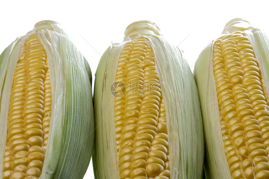 孤立的玉米收成棒子农业粮食食物绿色植物群宏观玉米芯蔬菜图片