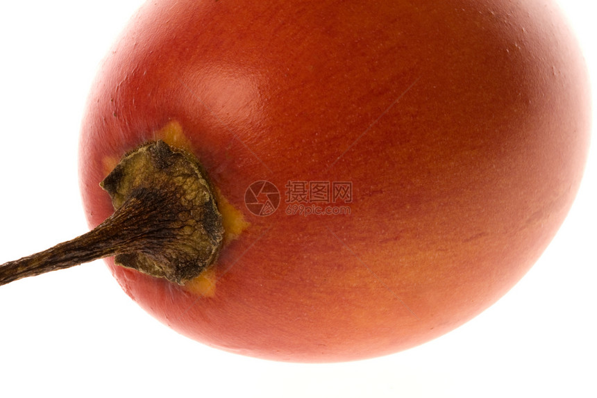 Tamarillo 孤立的宏观食物西红柿红色农业植物蔬菜甜点食品植物群季节图片