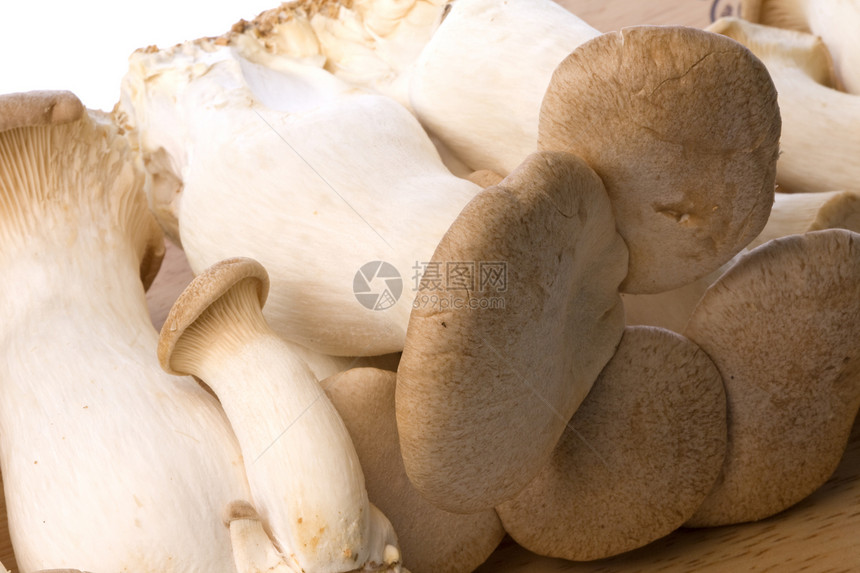 Eryngii 隔离的蘑菇喇叭国王蔬菜森林菌类植物群食物烹饪草药美食图片
